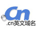 .cn英文域名